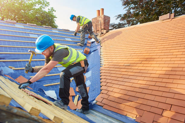 Best Rubber Roofing (EPDM, TPO)  in Lady Lake, FL